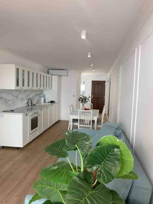 Flaming Apartment 4F Torrevieja Ngoại thất bức ảnh